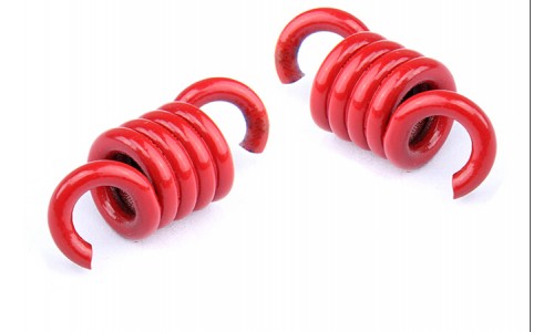 8000RPM Clutch Spring Set - 2 Pcs | Rovan Sports