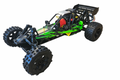Rovan Baja Petrol 29cc │Ready to Race │